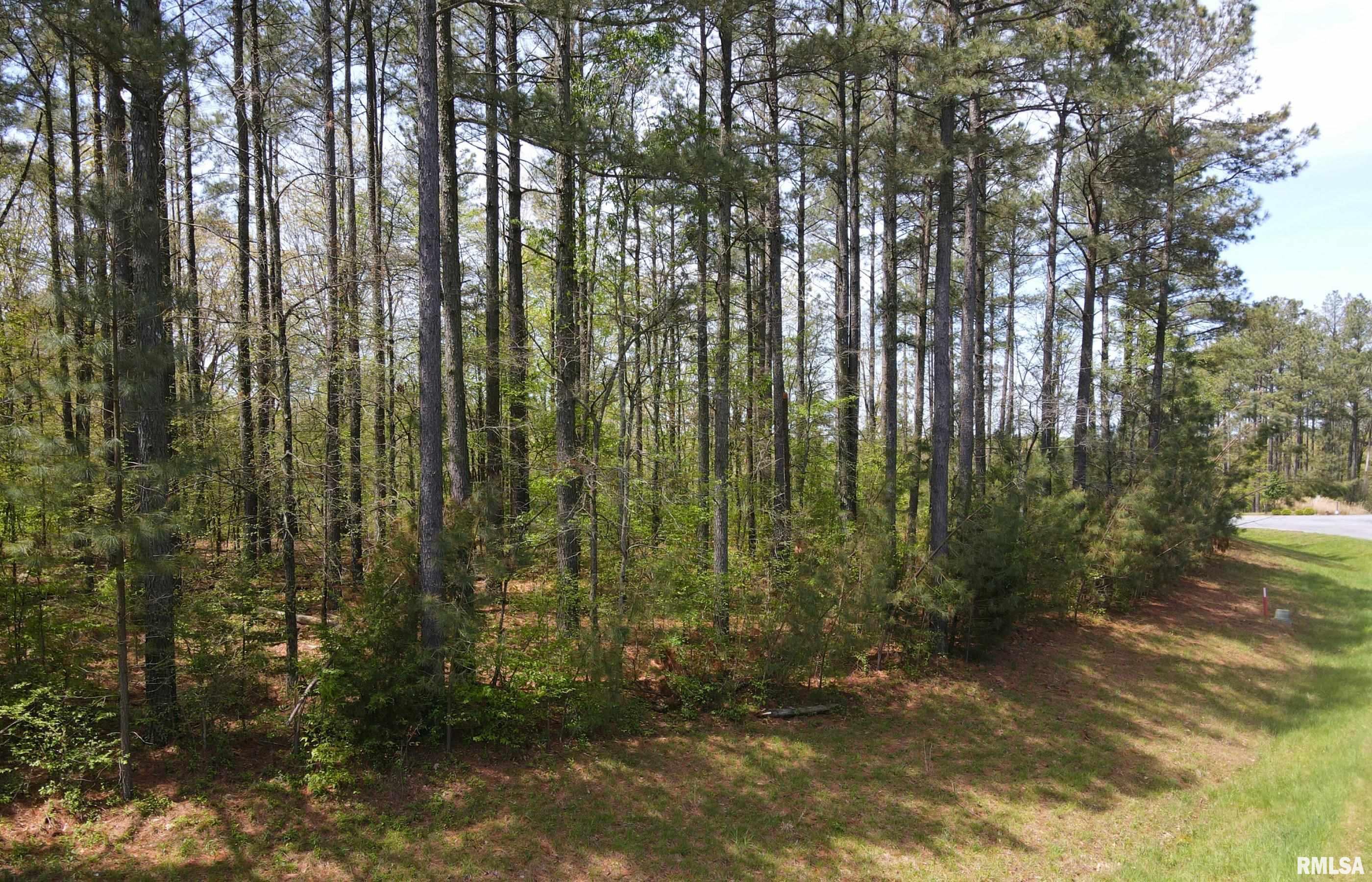 558 Stony Point Road Goreville, IL 62939 - Photo 10 of 10