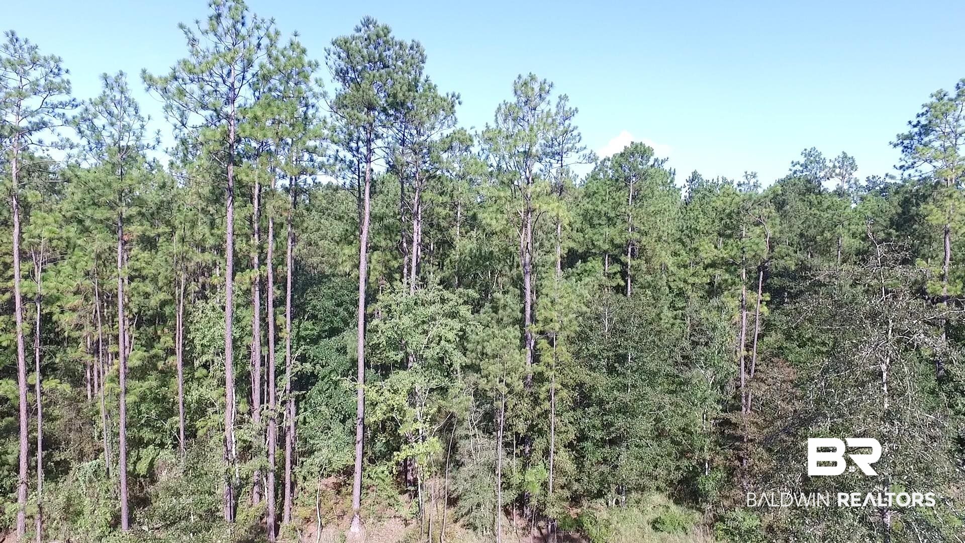 0 North Highway 43 Axis, AL 36505 - Photo 5 of 15