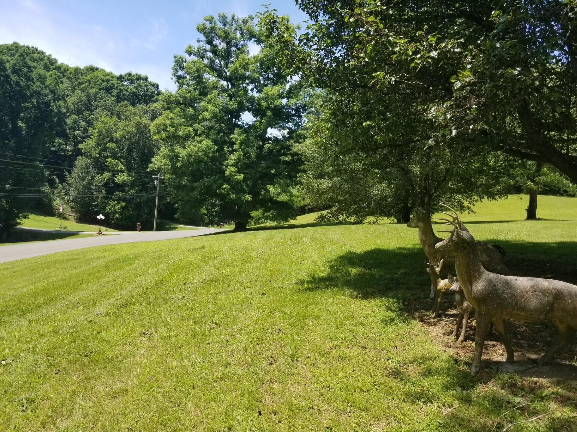 919 John Burch Road West Dunlap, TN 37327 - Photo 9 of 66