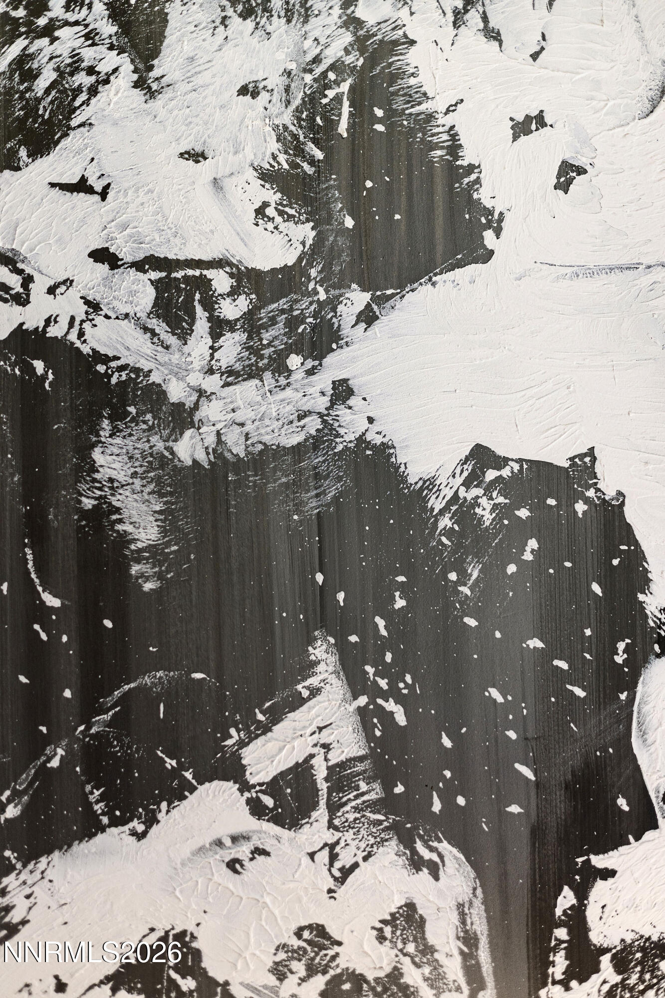 9509 Copper Sky Drive Reno, NV 89521 - Photo 58 of 70 9509CopperSkyDrive-16