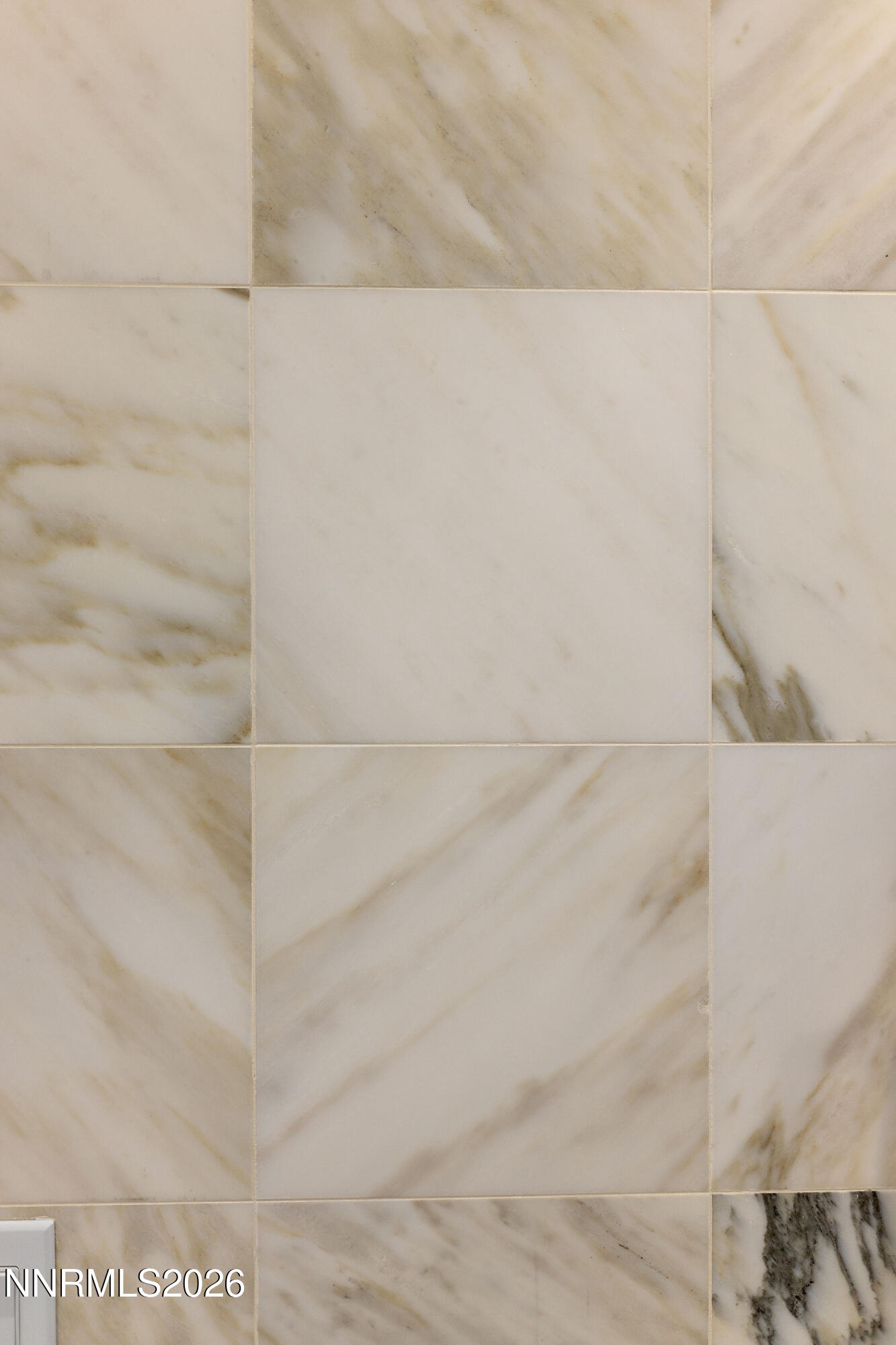 9509 Copper Sky Drive Reno, NV 89521 - Photo 62 of 70 9509CopperSkyDrive-25