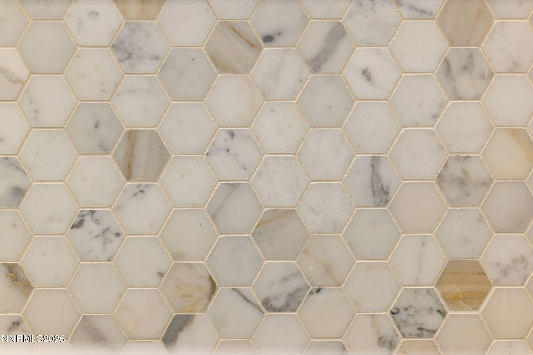 9509 Copper Sky Drive Reno, NV 89521 - Photo 63 of 70 9509CopperSkyDrive-26