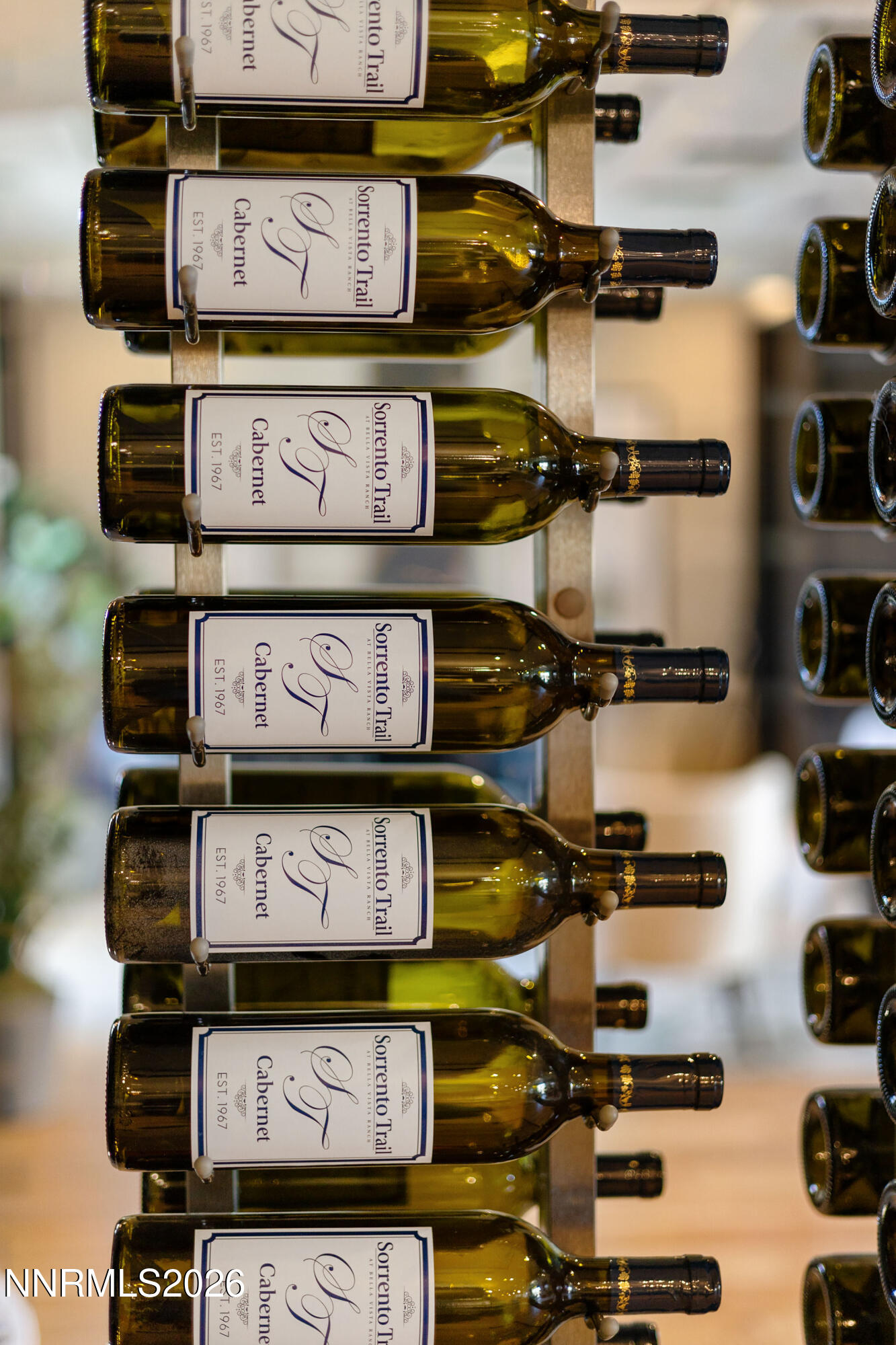 9509 Copper Sky Drive Reno, NV 89521 - Photo 64 of 70 9509CopperSkyDrive-21