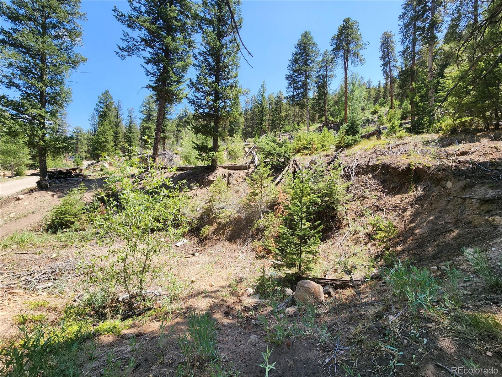 256 Capital Road Dumont, CO 80436 - Photo 22 of 50