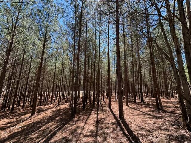 0 Worley Road, Unit LOT 40 Soddy Daisy, TN 37379 - Photo 2 of 54 IMG_8192