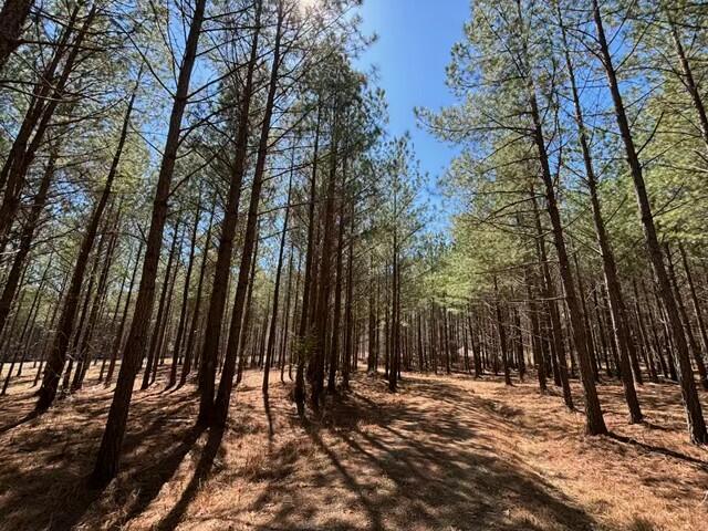 0 Worley Road, Unit LOT 40 Soddy Daisy, TN 37379 - Photo 3 of 54 IMG_8186