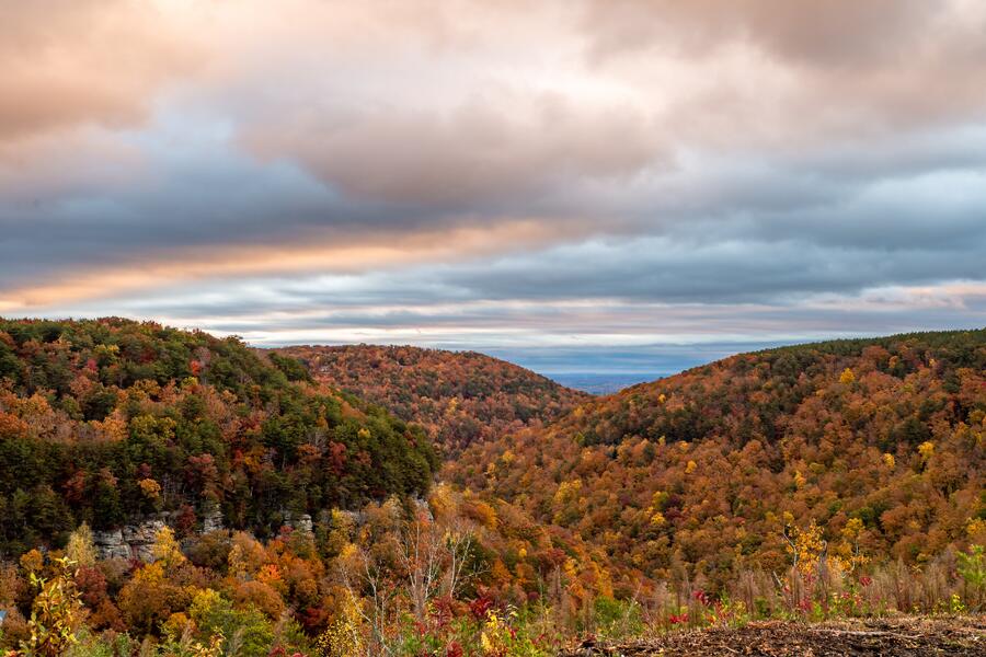 0 Worley Road, Unit LOT 40 Soddy Daisy, TN 37379 - Photo 4 of 54 9