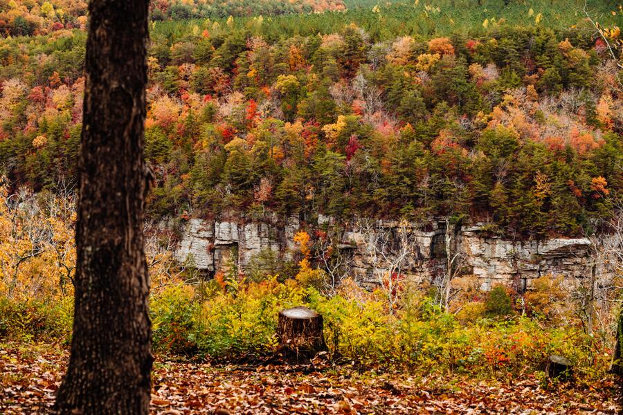 0 Worley Road, Unit LOT 40 Soddy Daisy, TN 37379 - Photo 5 of 54 6