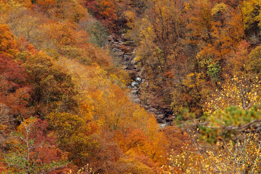 0 Worley Road, Unit LOT 40 Soddy Daisy, TN 37379 - Photo 7 of 54 4