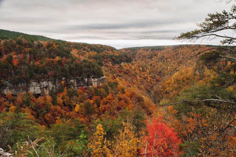 0 Worley Road, Unit LOT 40 Soddy Daisy, TN 37379 - Photo 8 of 54 3