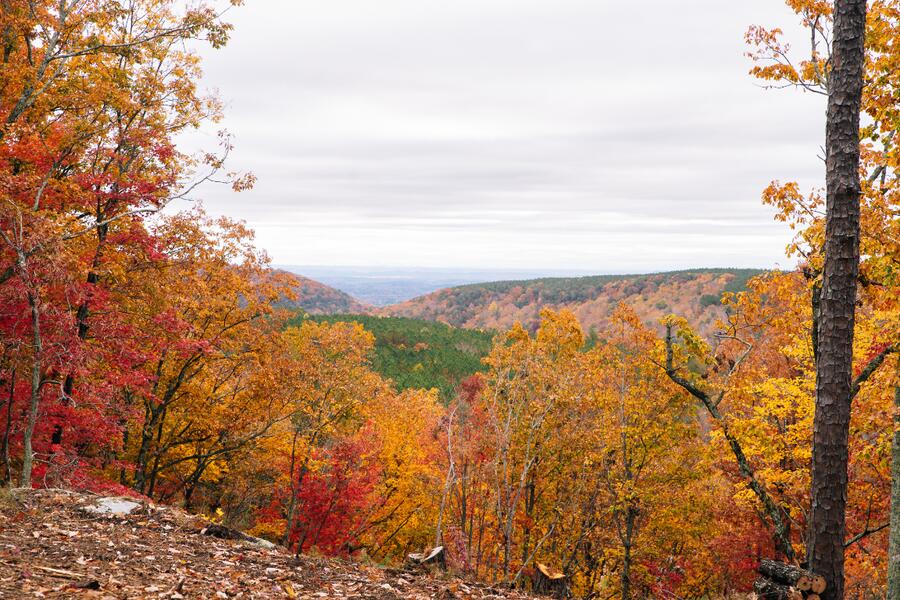 0 Worley Road, Unit LOT 40 Soddy Daisy, TN 37379 - Photo 9 of 54 2