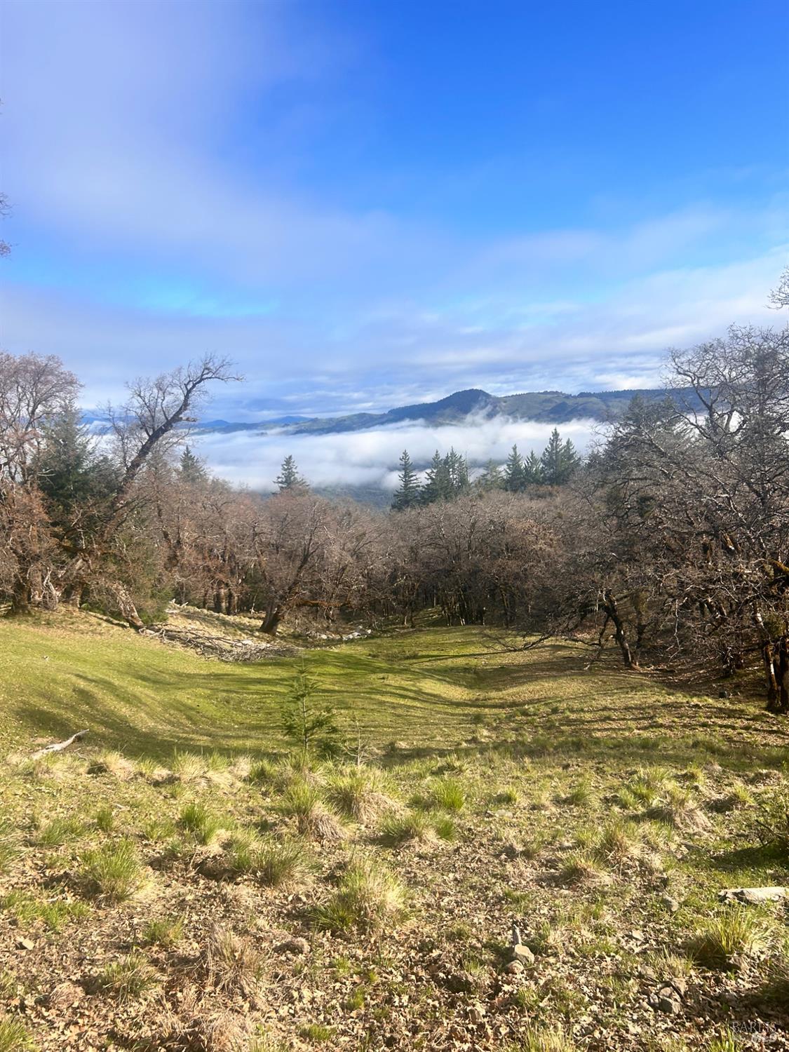 74000 Island Mountain Road Garberville, CA 95542 - Photo 35 of 36