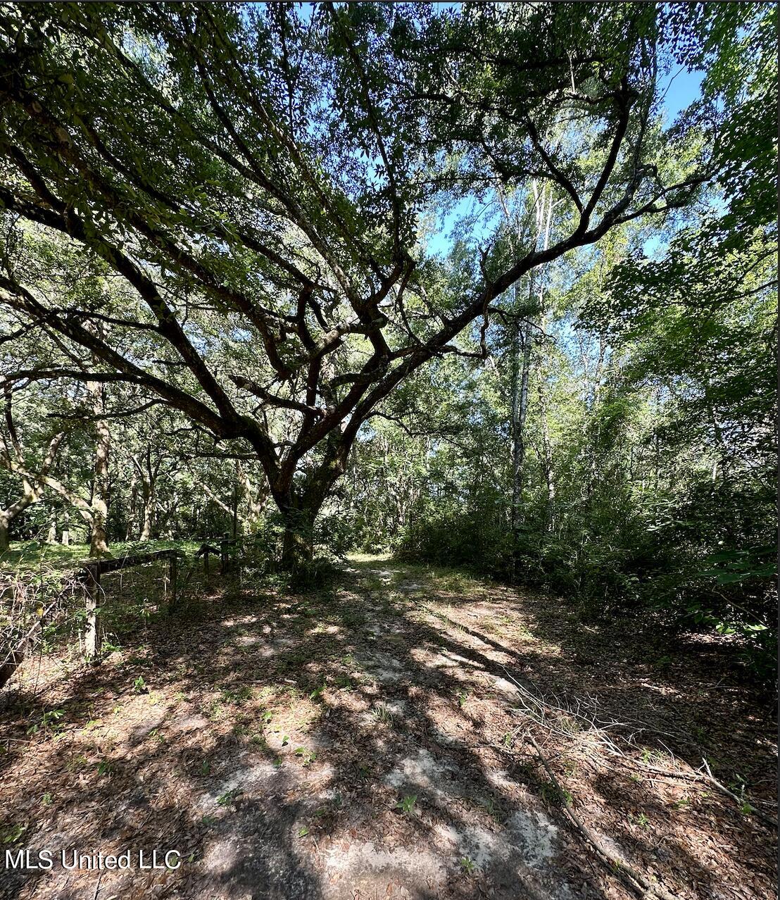 Lot 4 Northrup Cuevas Road Gulfport, MS 39503 - Photo 2 of 3 Screenshot 2023-06-23 at 7.15.50 AM