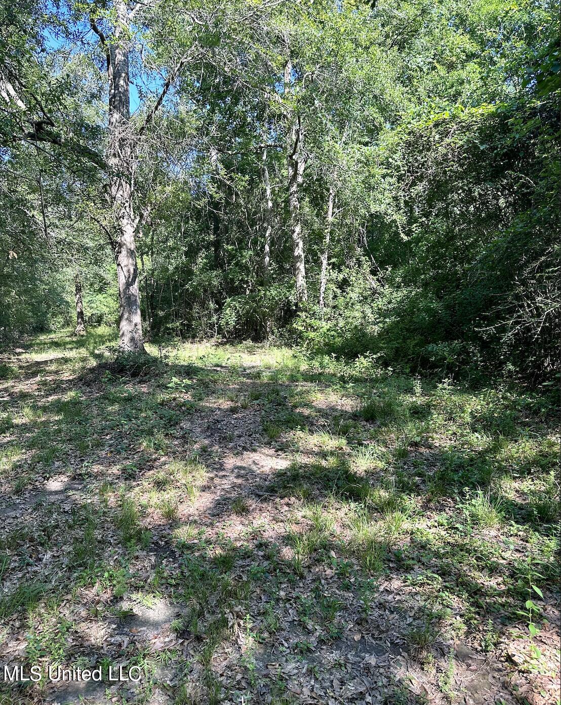 Lot 4 Northrup Cuevas Road Gulfport, MS 39503 - Photo 3 of 3 Screenshot 2023-06-23 at 7.15.29 AM