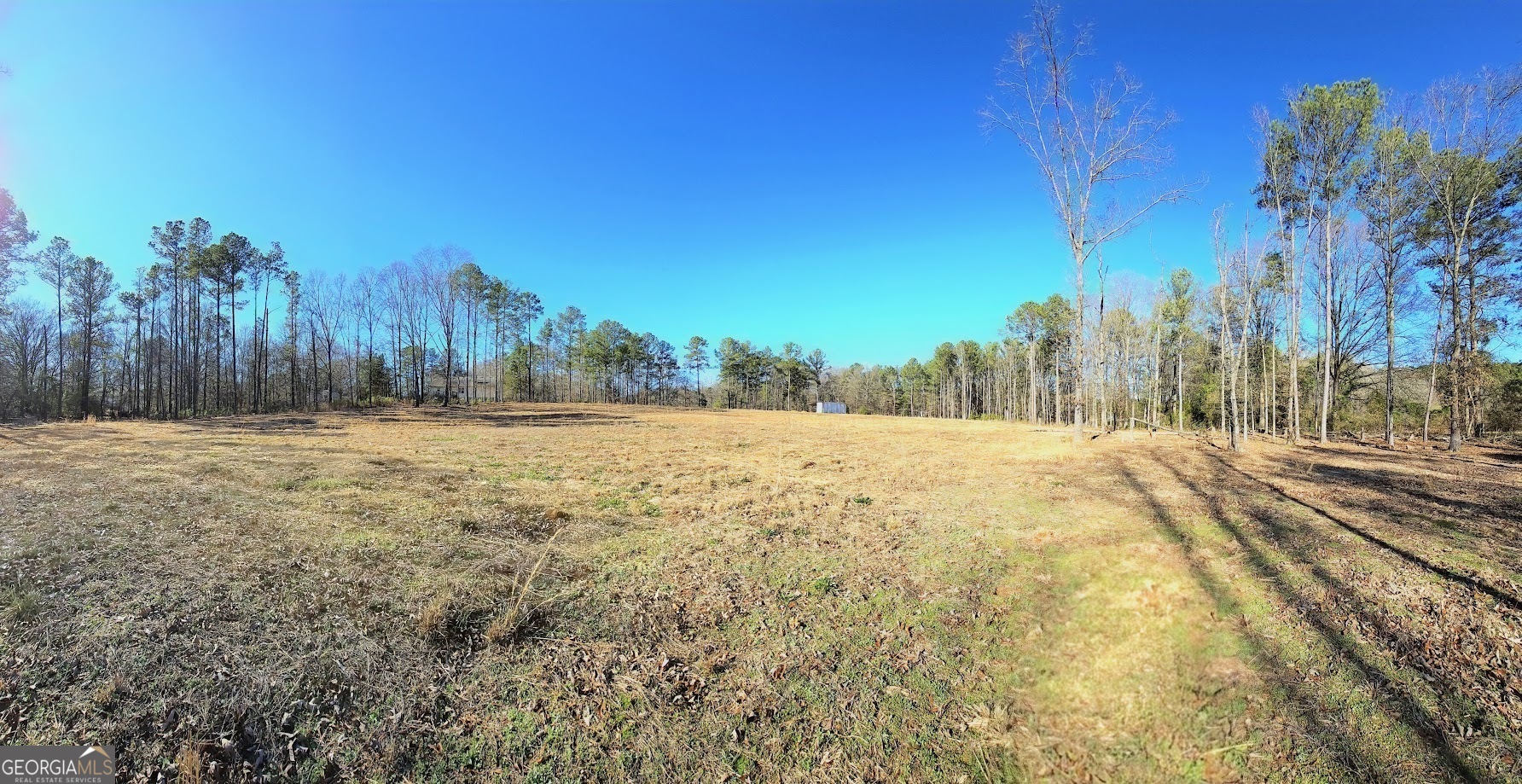 a view of large yard with large trees