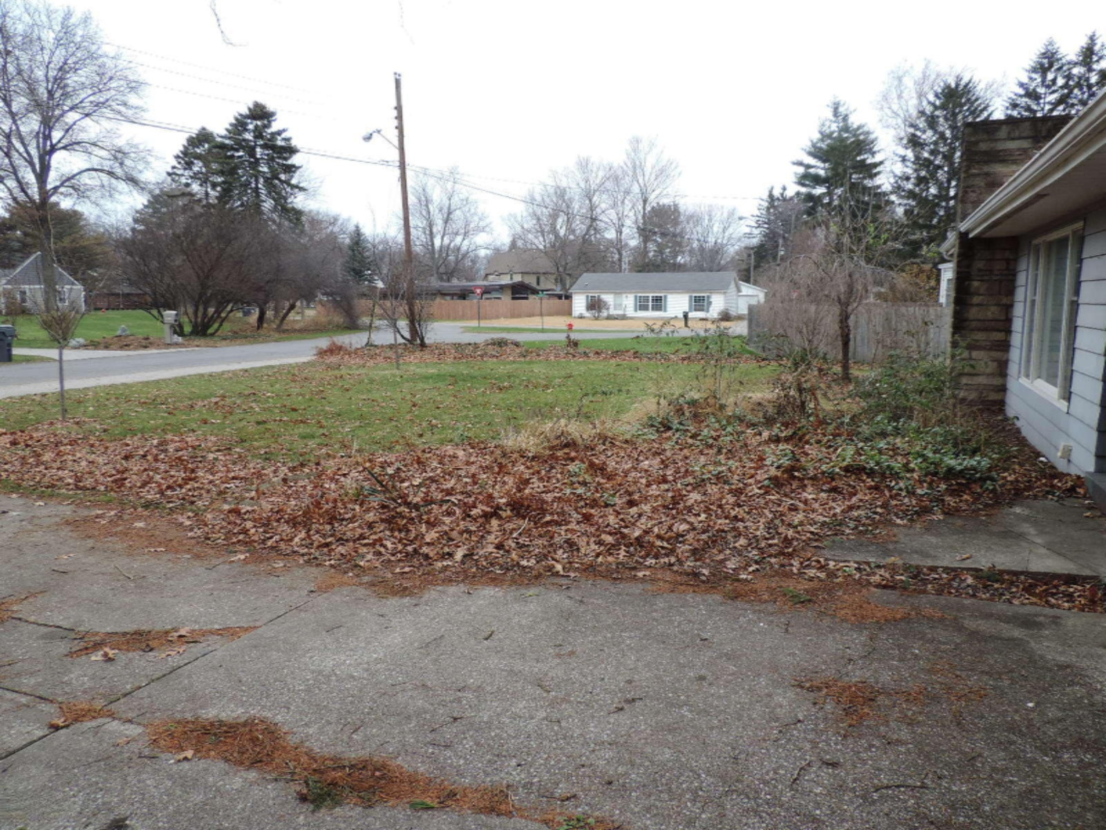 263-374560 Front Yard