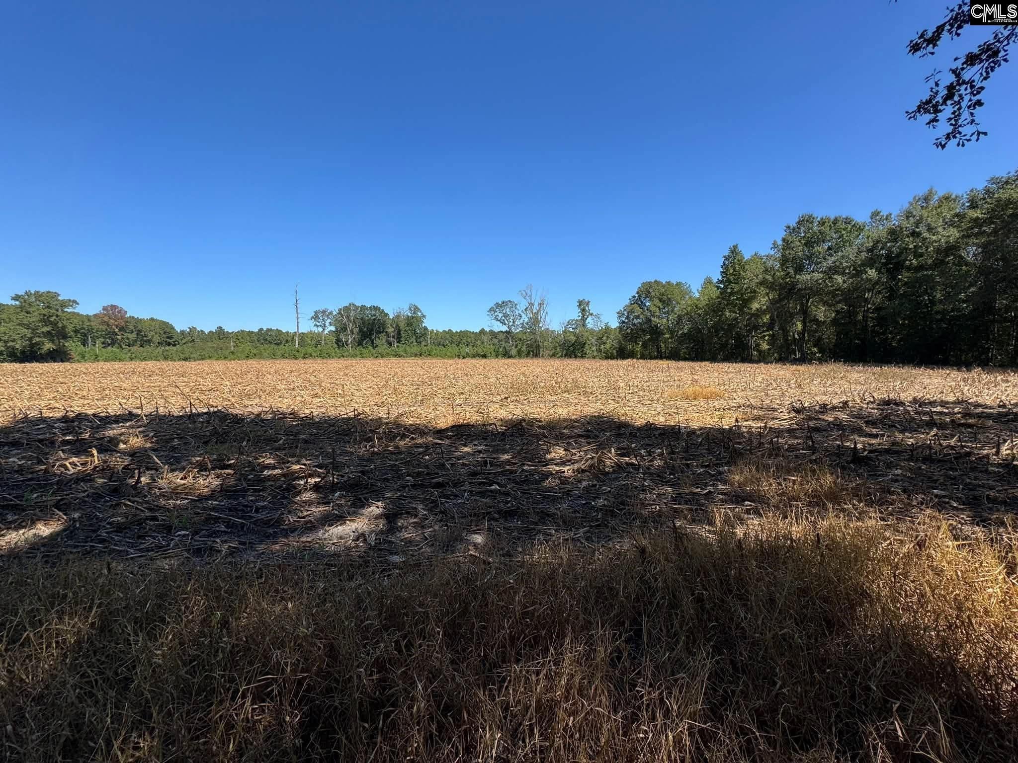 St Matthews Church Road Sumter, SC 29153 - Photo 3 of 34 Gallery Image 3