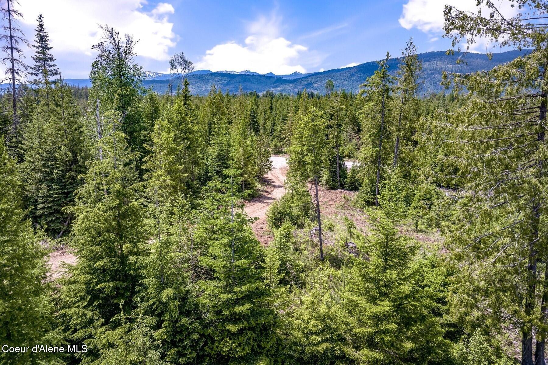 2 Sandpoint Id 83864 Sandpoint, ID 83864 - Photo 3 of 8 Healthy Forest