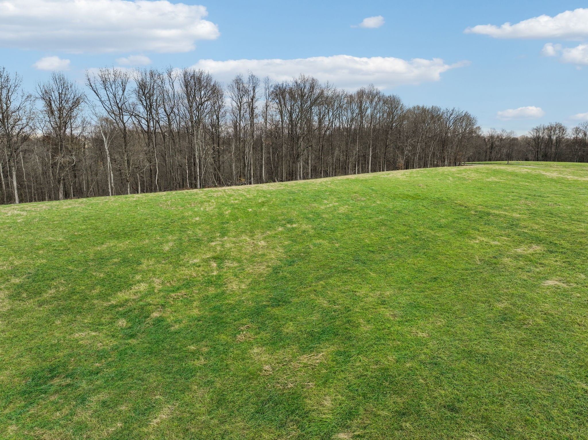 0 Clemons Ridge Road Silver Point, TN 38582 - Photo 14 of 19 a backyard of a house with lots of green space