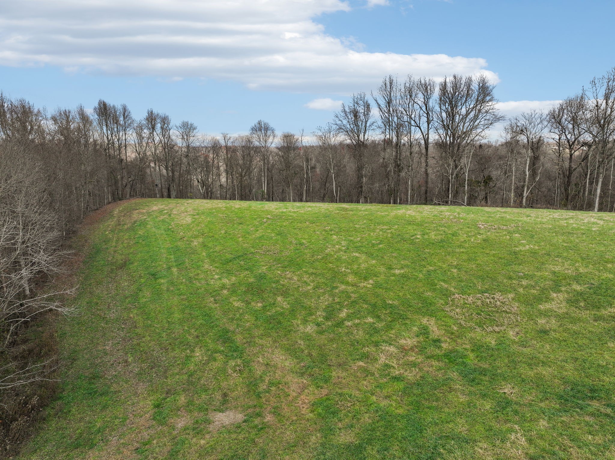 0 Clemons Ridge Road Silver Point, TN 38582 - Photo 15 of 19 a view of a yard