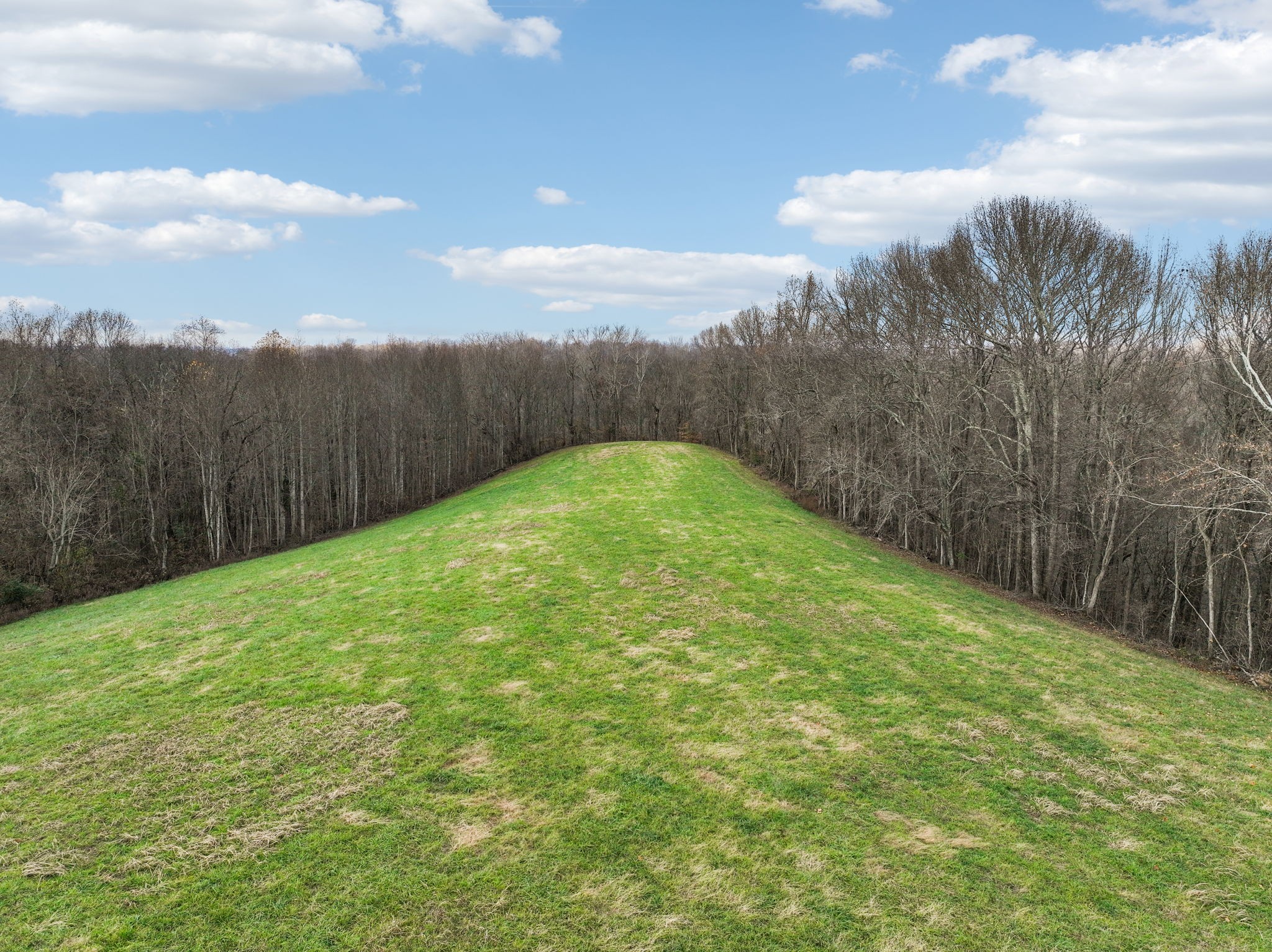 0 Clemons Ridge Road Silver Point, TN 38582 - Photo 17 of 19 a view of a big yard with wooden fence