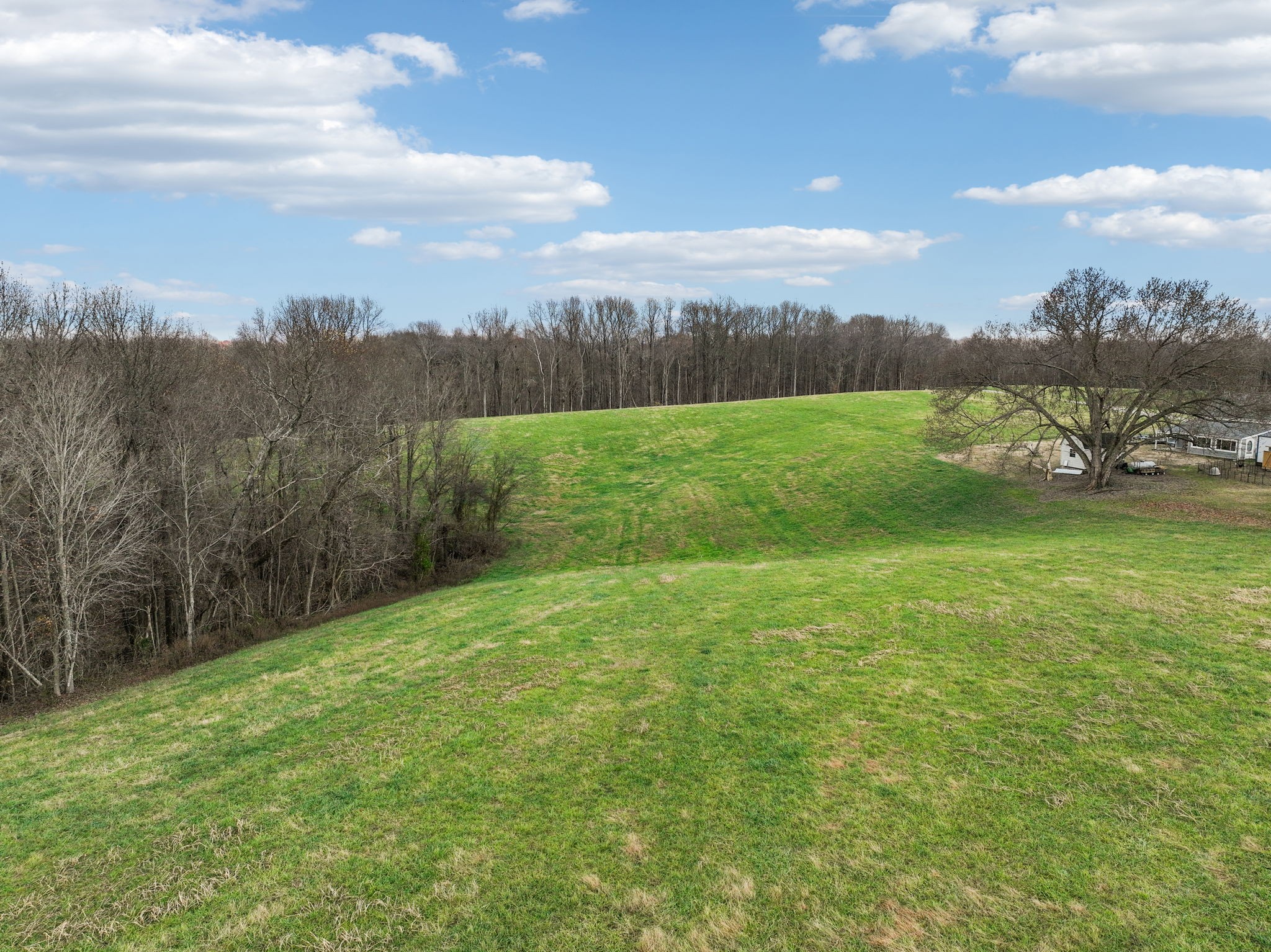 0 Clemons Ridge Road Silver Point, TN 38582 - Photo 18 of 19 a view of a field with sitting space
