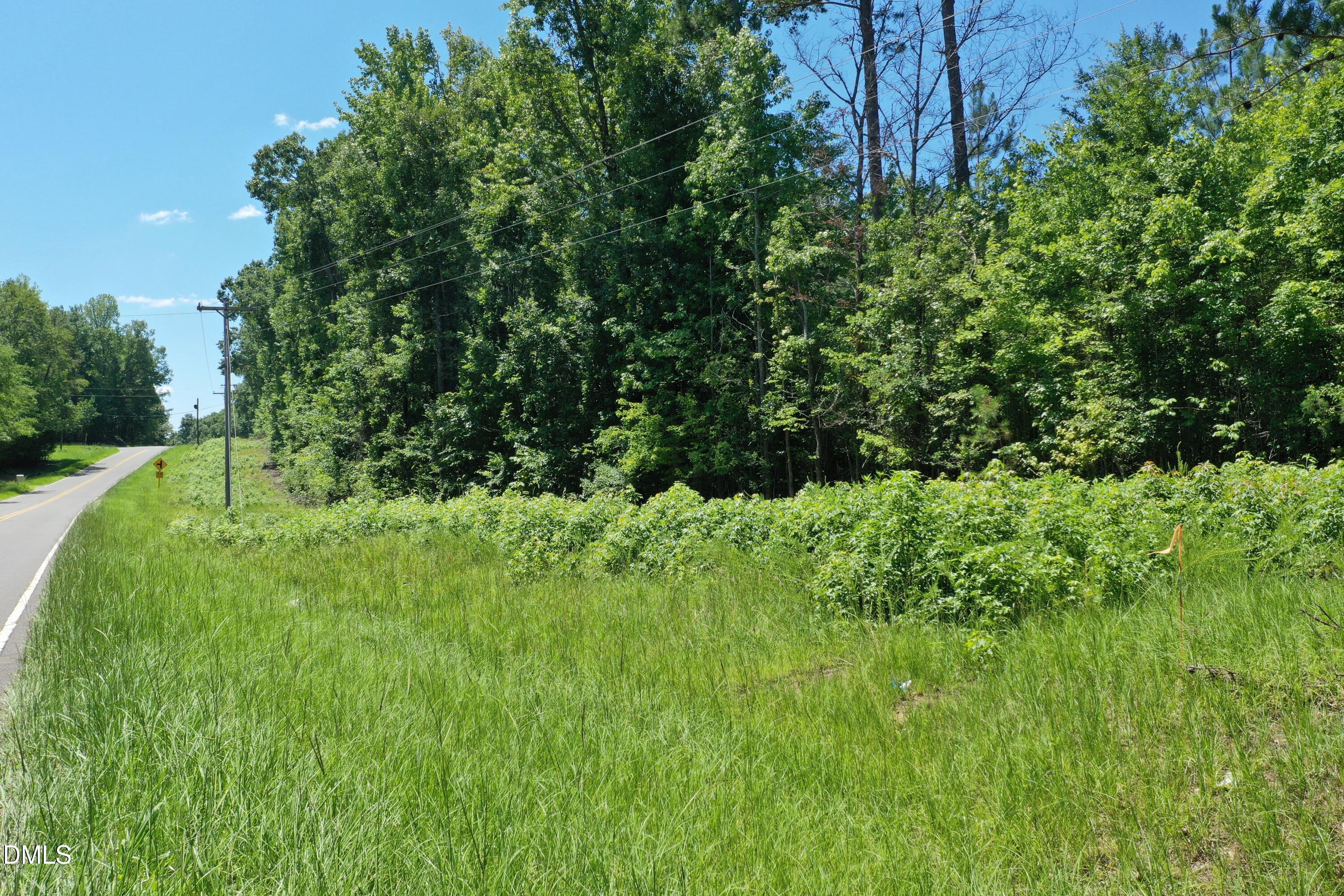 0 Moores Mill Road Rougemont, NC 27572 - Photo 11 of 12 Moores Mill Rd 60