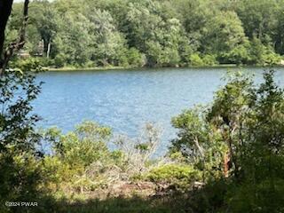 Lot R-c3 Spruce Lake Road Thompson, PA 18465 - Photo 15 of 17