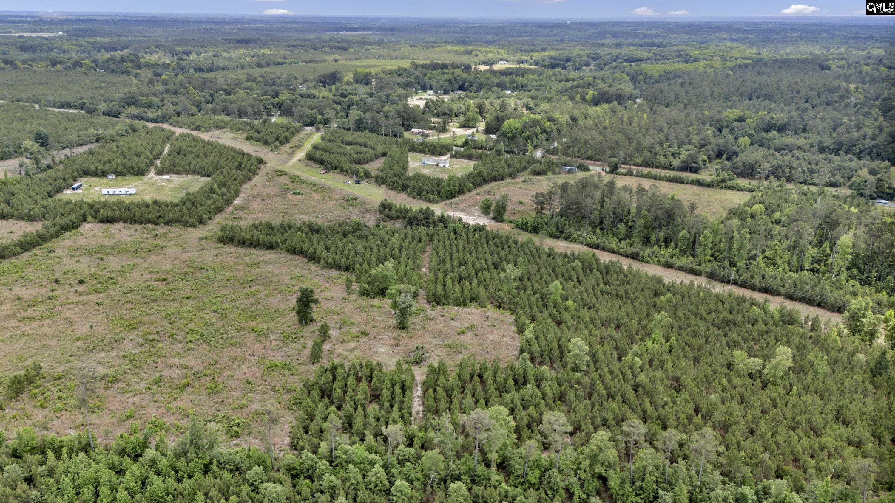Na Bull Swamp Road North, SC 29112 - Photo 20 of 28