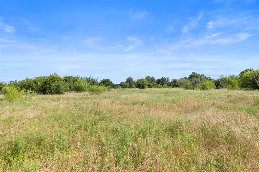 Tbd Berry Dairy Road Bryson, TX 76427 - Photo 38 of 39