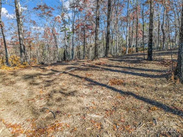 $2,565,482 | 30 Deep Gap Farm Road East, Mill Spring, NC 28756