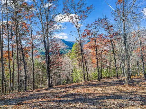 $2,565,482 | 30 Deep Gap Farm Road East, Mill Spring, NC 28756
