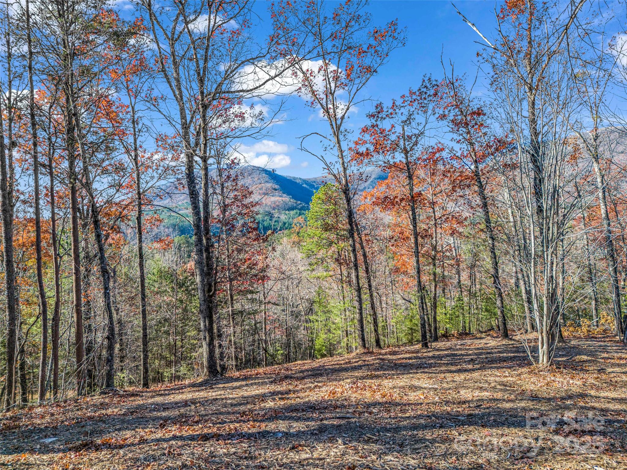 30 Deep Gap Farm Road East Mill Spring, NC 28756 - Photo 15 of 18 a view of a backyard of the house