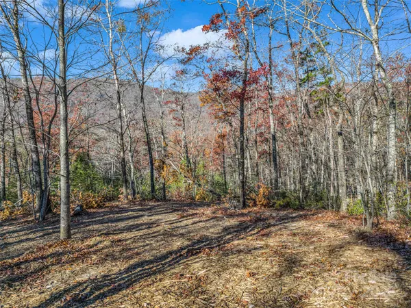 $2,565,482 | 30 Deep Gap Farm Road East, Mill Spring, NC 28756