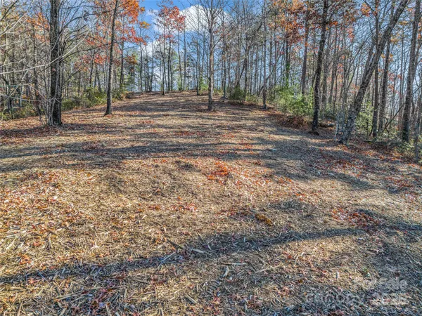 $2,565,482 | 30 Deep Gap Farm Road East, Mill Spring, NC 28756