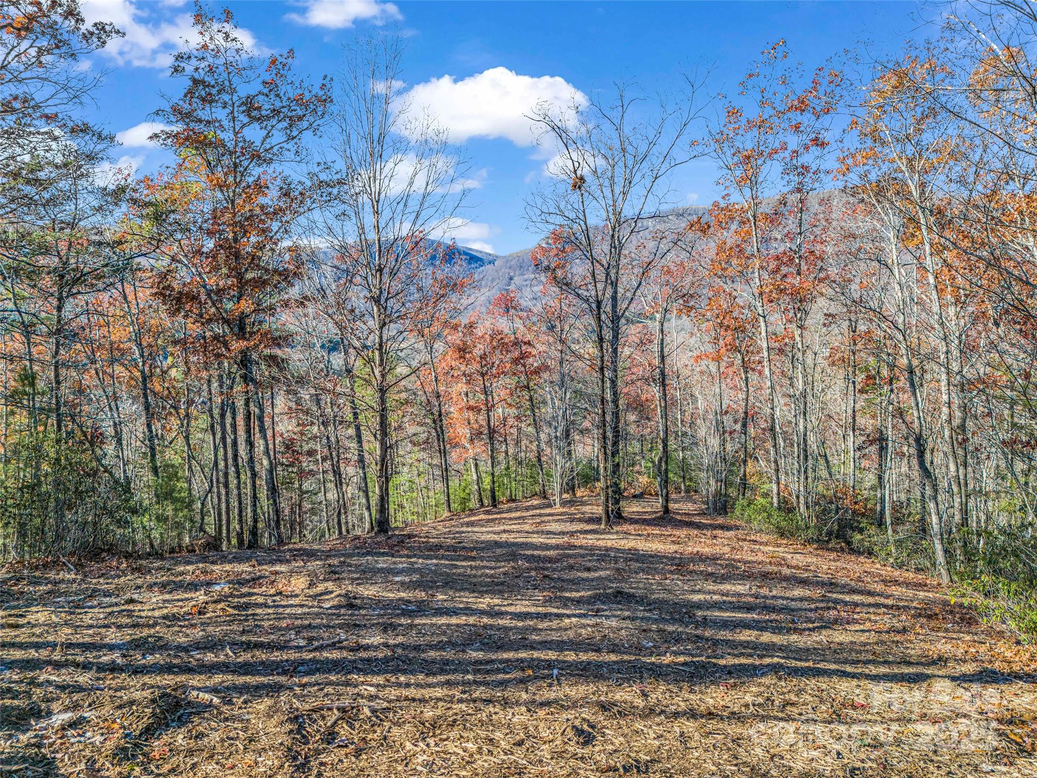 30 Deep Gap Farm Road East Mill Spring, NC 28756 - Photo 18 of 18 a view of road and trees