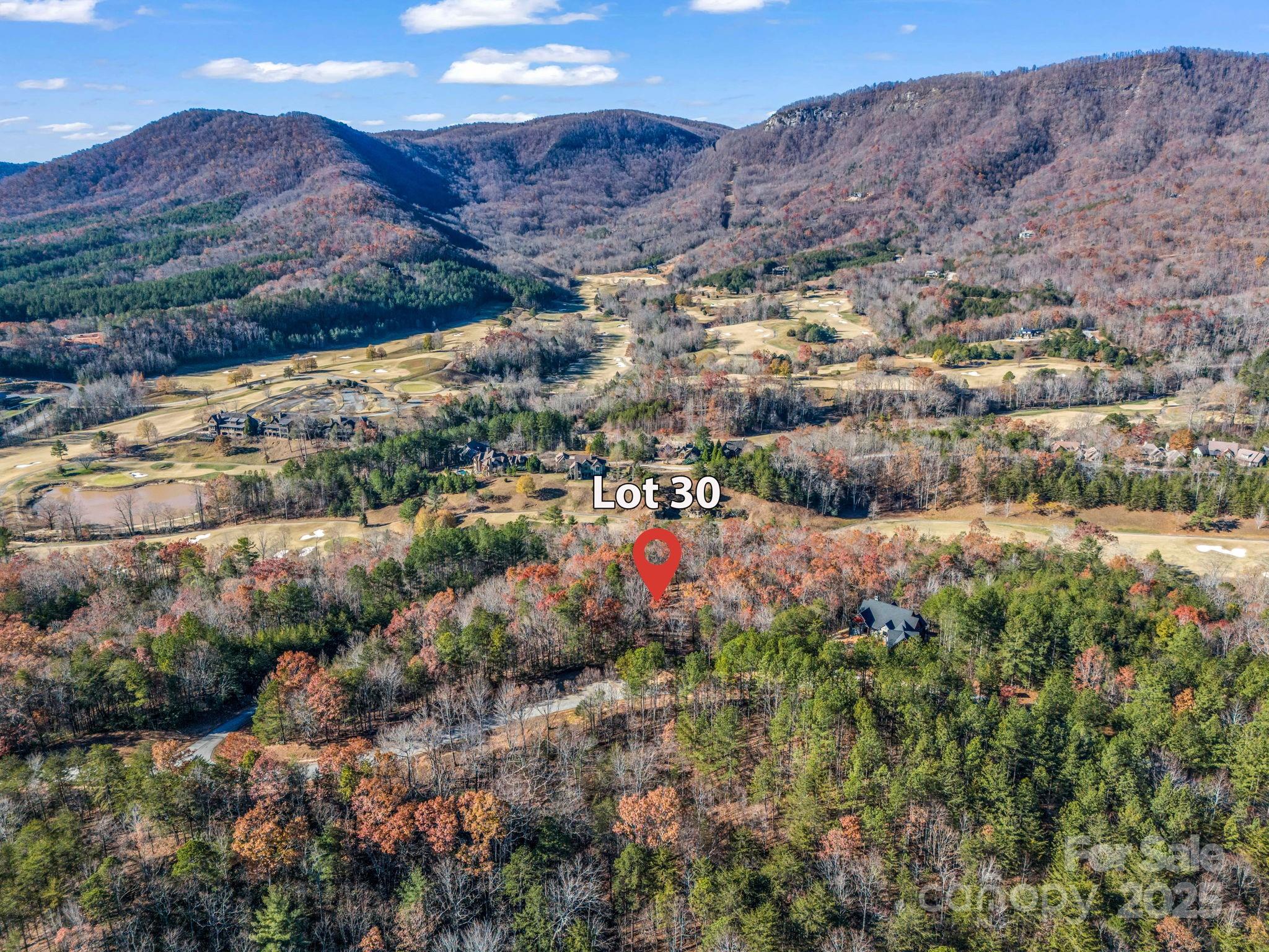 30 Deep Gap Farm Road East Mill Spring, NC 28756 - Photo 3 of 18 a view of a houses with a yard
