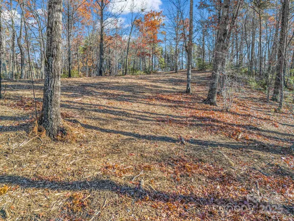 $2,565,482 | 30 Deep Gap Farm Road East, Mill Spring, NC 28756