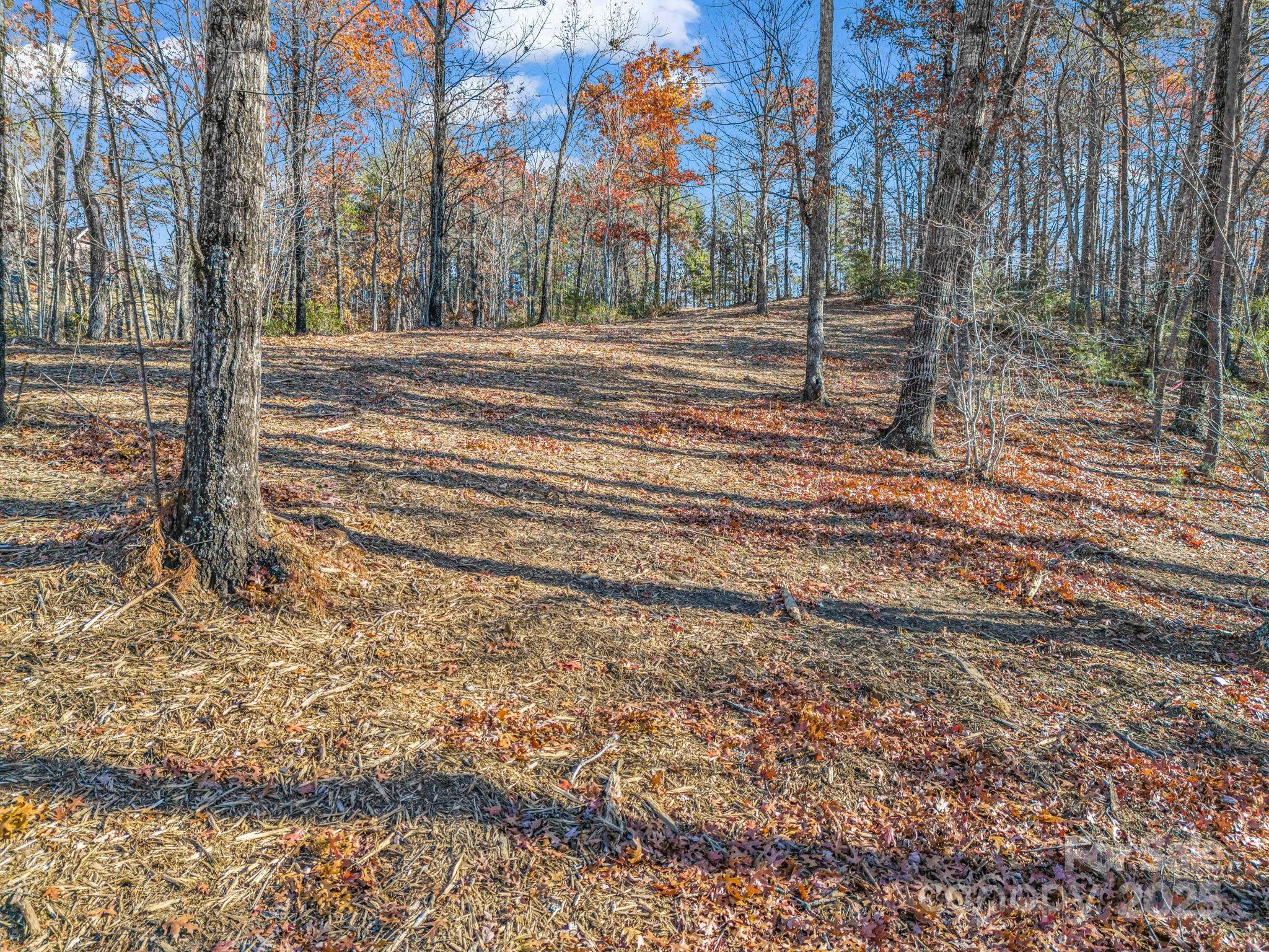 30 Deep Gap Farm Road East Mill Spring, NC 28756 - Photo 8 of 18 a view of a yard with a house