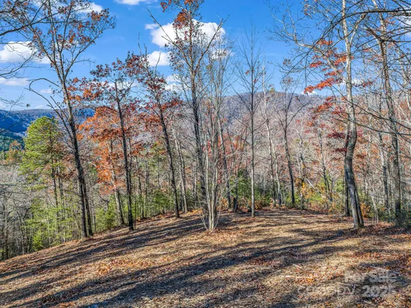 $2,565,482 | 30 Deep Gap Farm Road East, Mill Spring, NC 28756