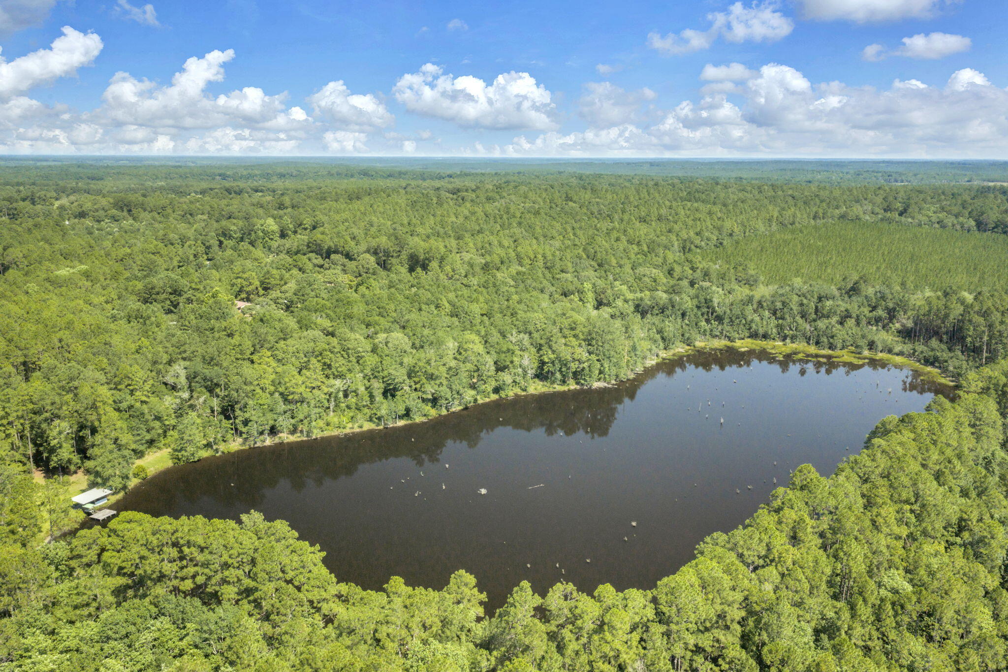 82 Acres 4 Flags Road Laurel Hill, FL 32567 - Photo 11 of 45 17-web-or-mls-DJI_20260702102503_0531_D