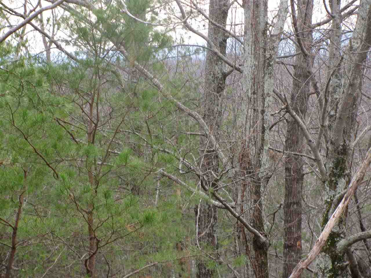 Valley Road Travelers Rest, SC 29690 - Photo 5 of 6 Gallery Image 5