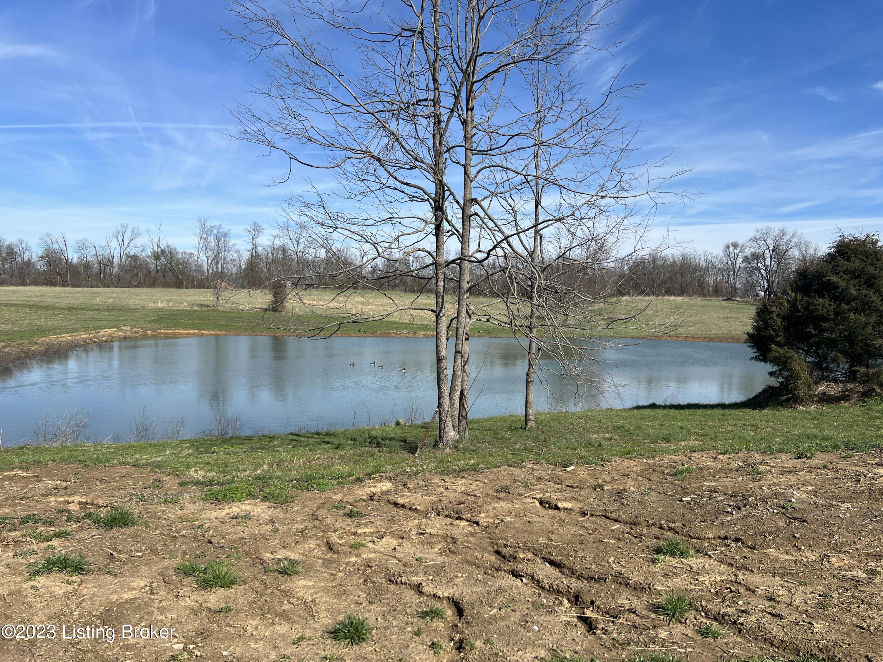1595 Waddy Road Waddy, KY 40076 - Photo 5 of 90 IMG_5338