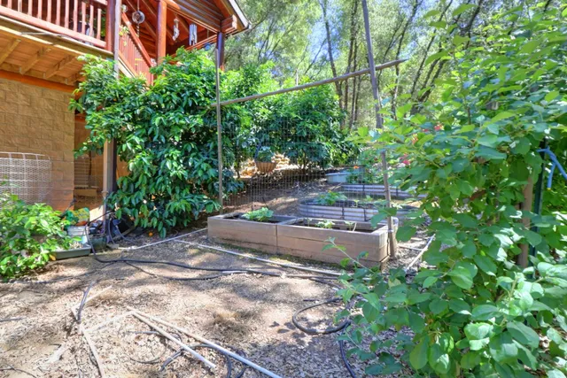 $850,000 | 3059 Squirrel Hollow, Mount Aukum, CA 95656