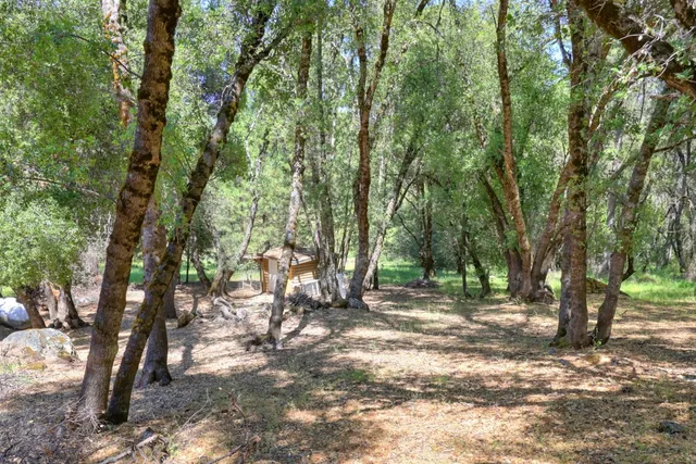 $850,000 | 3059 Squirrel Hollow, Mount Aukum, CA 95656