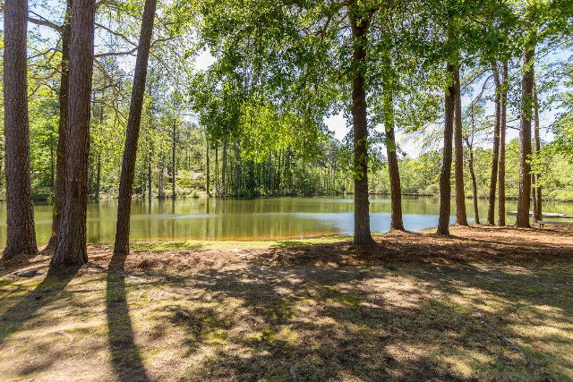 854 Point Comfort Road Martinez, GA 30907 - Photo 39 of 45