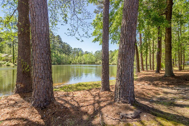 854 Point Comfort Road Martinez, GA 30907 - Photo 41 of 45