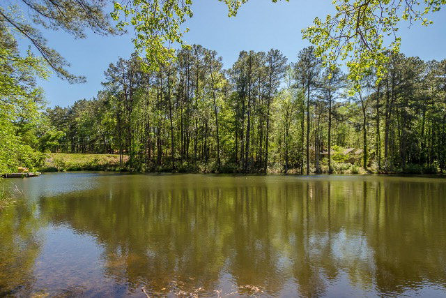 854 Point Comfort Road Martinez, GA 30907 - Photo 42 of 45