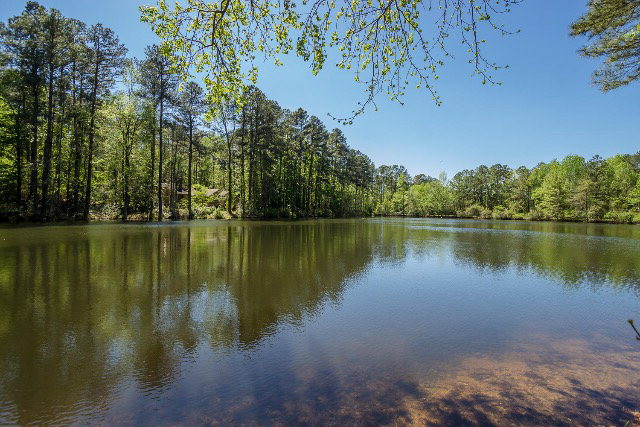 854 Point Comfort Road Martinez, GA 30907 - Photo 43 of 45