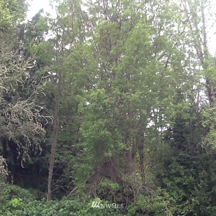 9 Dabob Road Quilcene, WA 98376 - Photo 1 of 2
